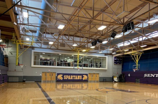 Sentinel HS